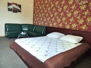 Гостиница Градец Чайковский Двухместный номер с 1 кроватью и собственной ванной комнатой-3