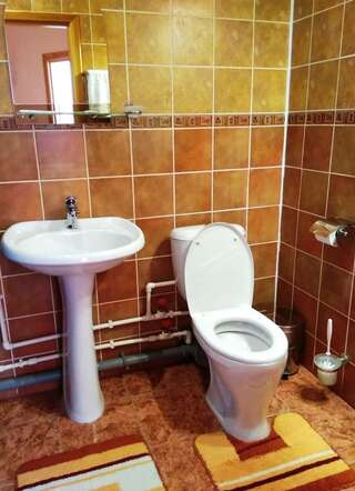 Гостиница Градец Чайковский Двухместный номер с 1 кроватью и собственной ванной комнатой-7