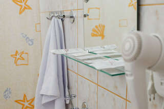 Гостиница Градец Чайковский Двухместный номер с 1 кроватью и собственной ванной комнатой-4