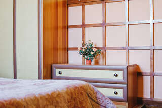 Гостиница Градец Чайковский Двухместный номер с 1 кроватью и собственной ванной комнатой-5