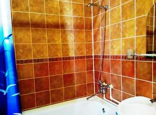 Гостиница Градец Чайковский Двухместный номер с 1 кроватью и собственной ванной комнатой-5