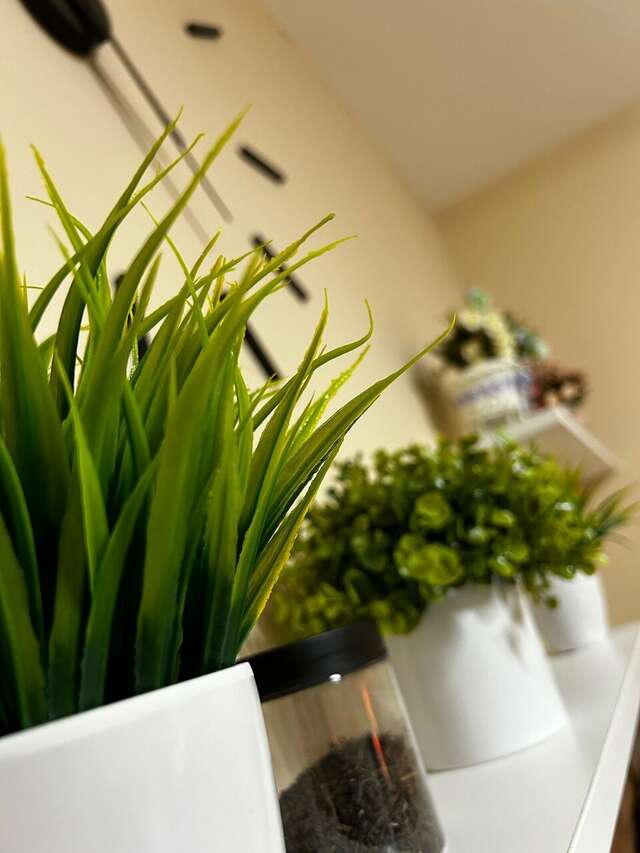 Гостиница Градец Чайковский-37